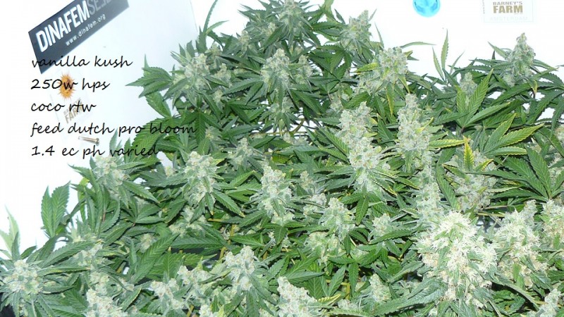 drobes 25 10 21 023