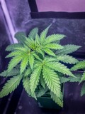6ECD9F10-003B-4CD2-A968-1B26EB93C8BA