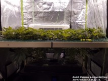 20180430_200655