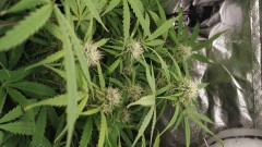 IMG_20211101_215613