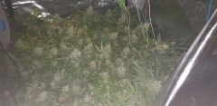 20181208_104628