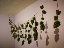 IMG_20211106_213607