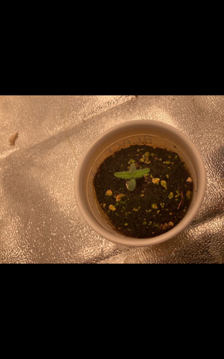 Screenshot_20211110-180150