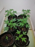 IMG_20211112_235332
