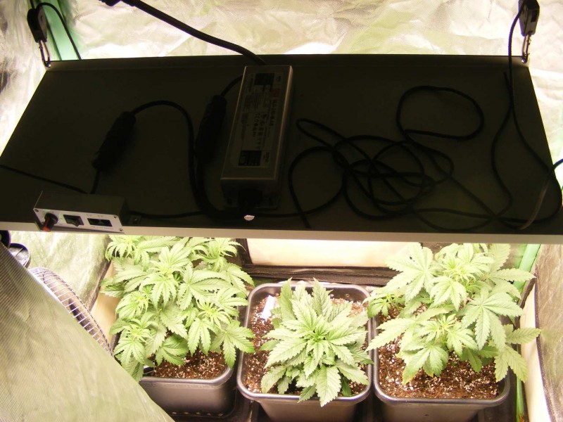 2021_0109special-soil20004