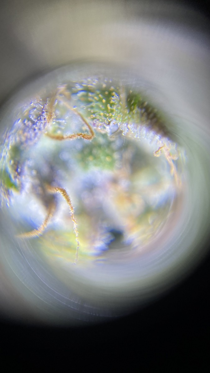 Amphetamine auto