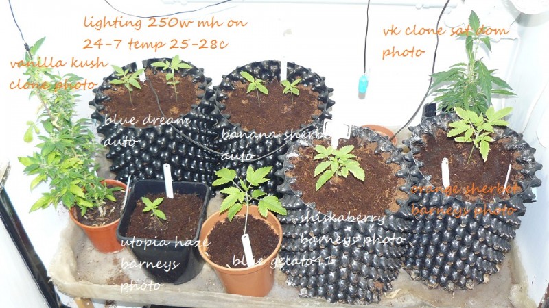 drobes 03 12 21 001