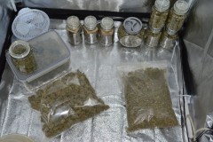 stash