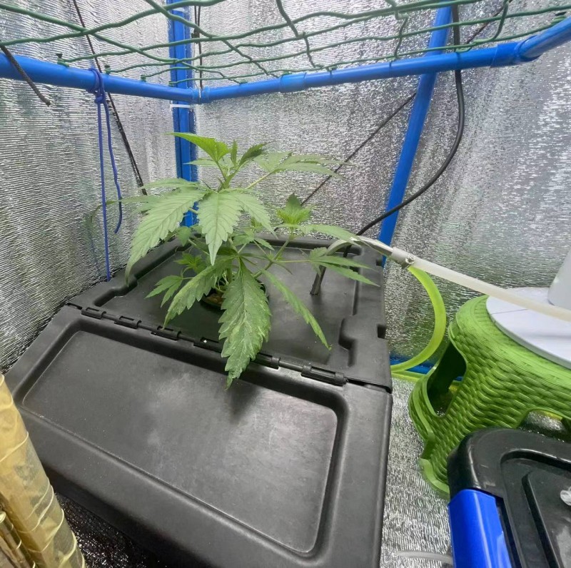 TP week 1 veg 3