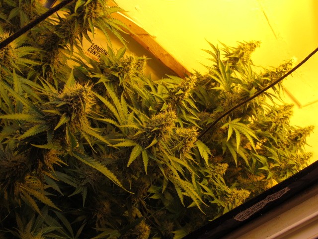 38days (9)