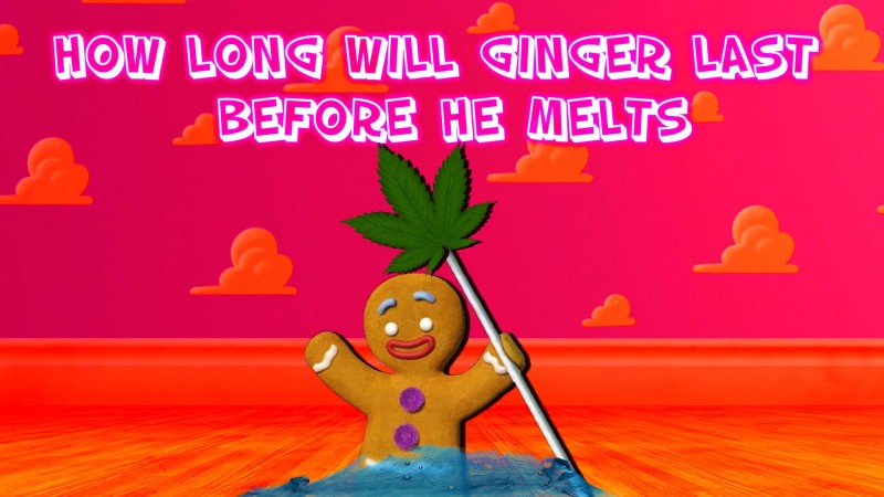 mn how long will ginger last