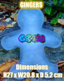 mn ginger dimensions