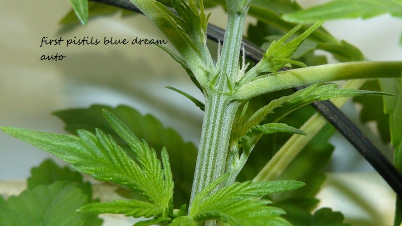 drobes 16 12 21 015