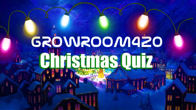 mn christmas quiz