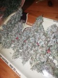 IMG_20210805_221653