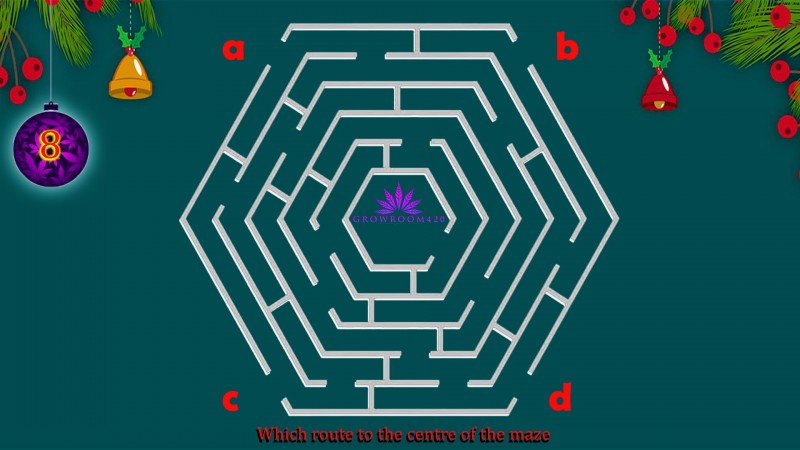 08 maze