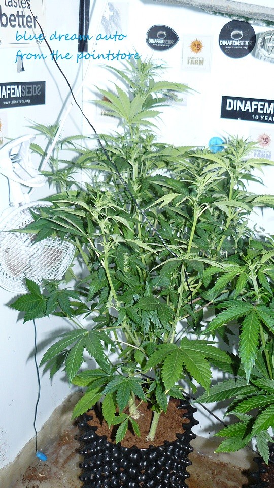 drobes 30 12 21 001