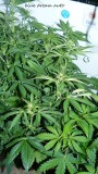 drobes 30 12 21 004