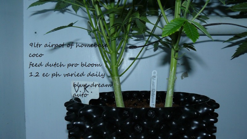 drobes 30 12 21 006