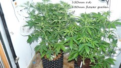 drobes 30 12 21 015