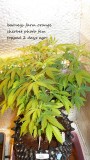 drobes 30 12 21 025