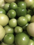 0E6F0EA9-69D6-4F62-9F71-AC03F1CB5D93