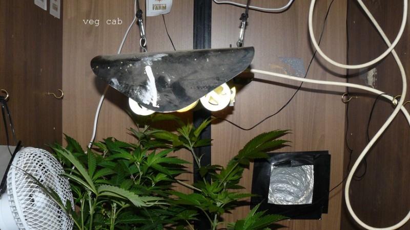 drobes 06 1 22 048