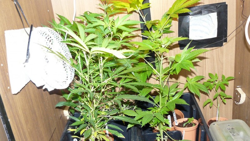 drobes 06 1 22 050