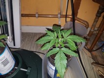 20181220_085733