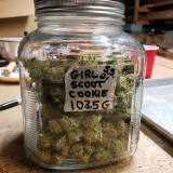 16417694476725783197250563666969