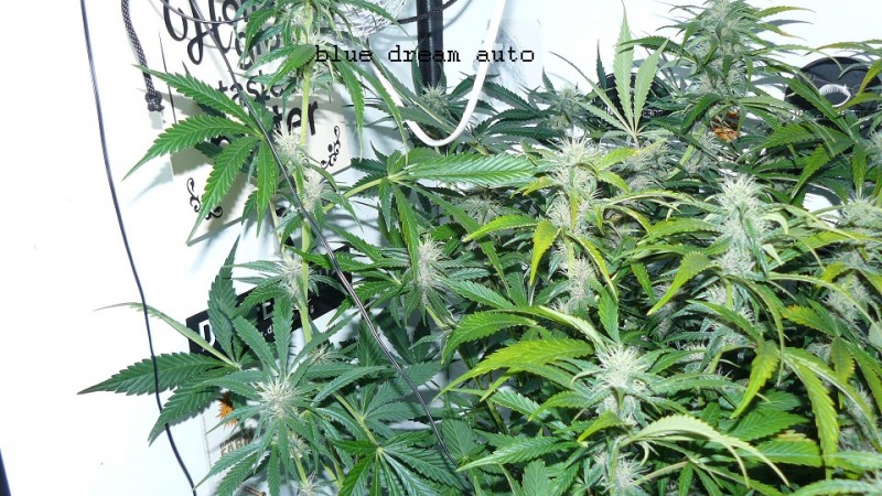 drobes 11 01 22 001