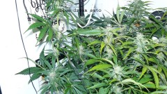 drobes 11 01 22 001