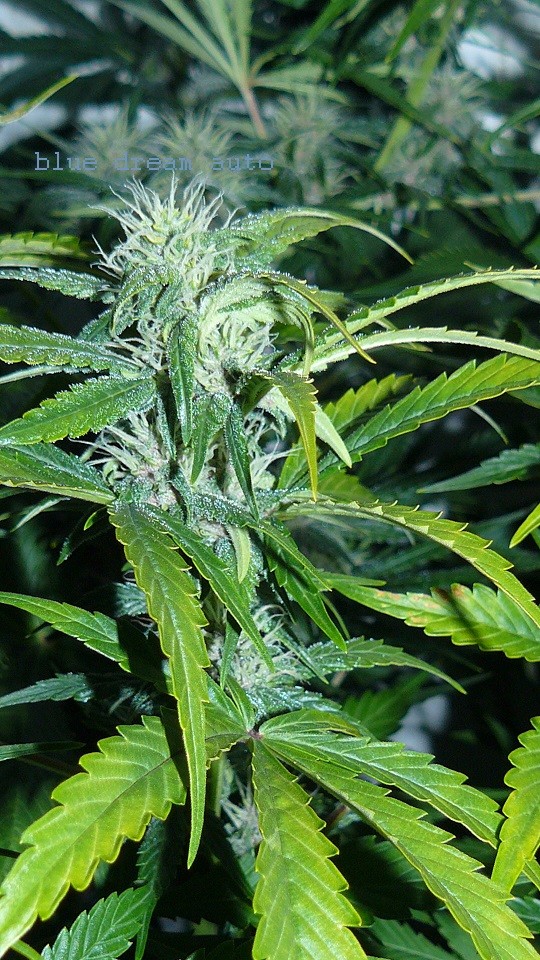 drobes 11 01 22 006
