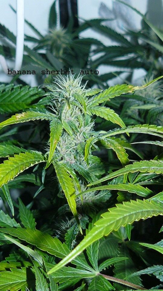 drobes 11 01 22 007