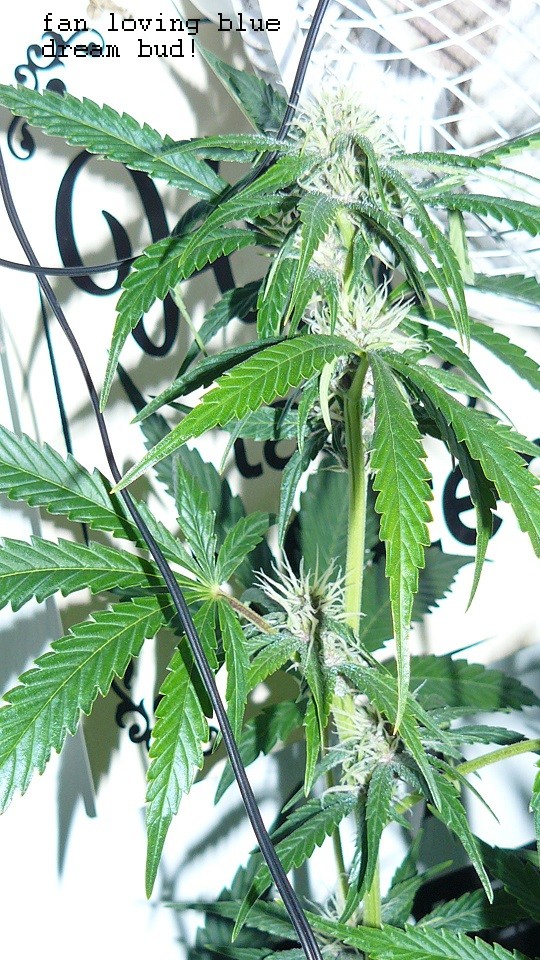 drobes 11 01 22 008