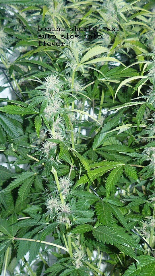drobes 11 01 22 013