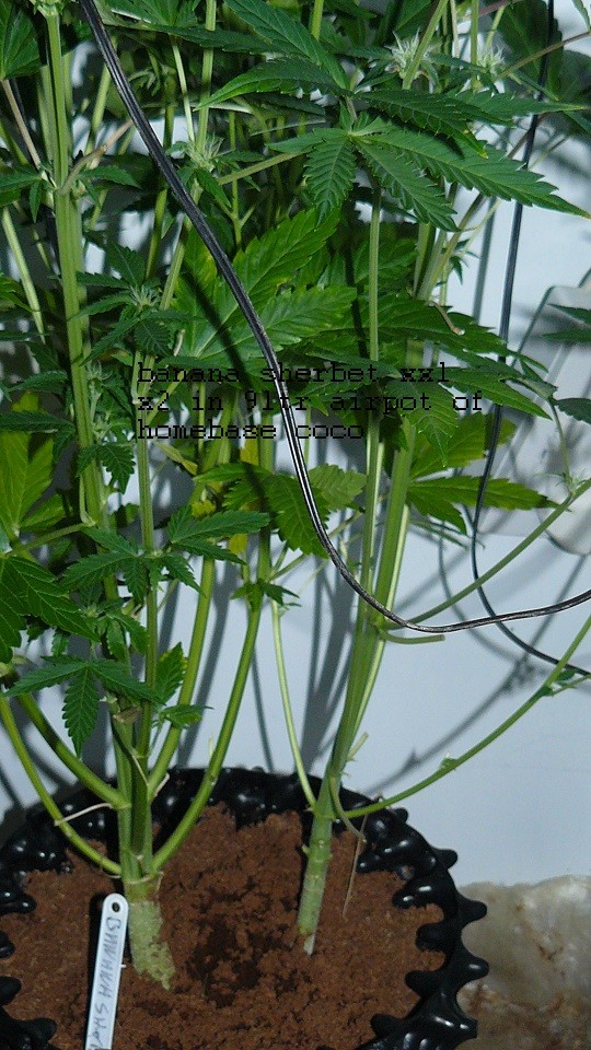 drobes 11 01 22 020