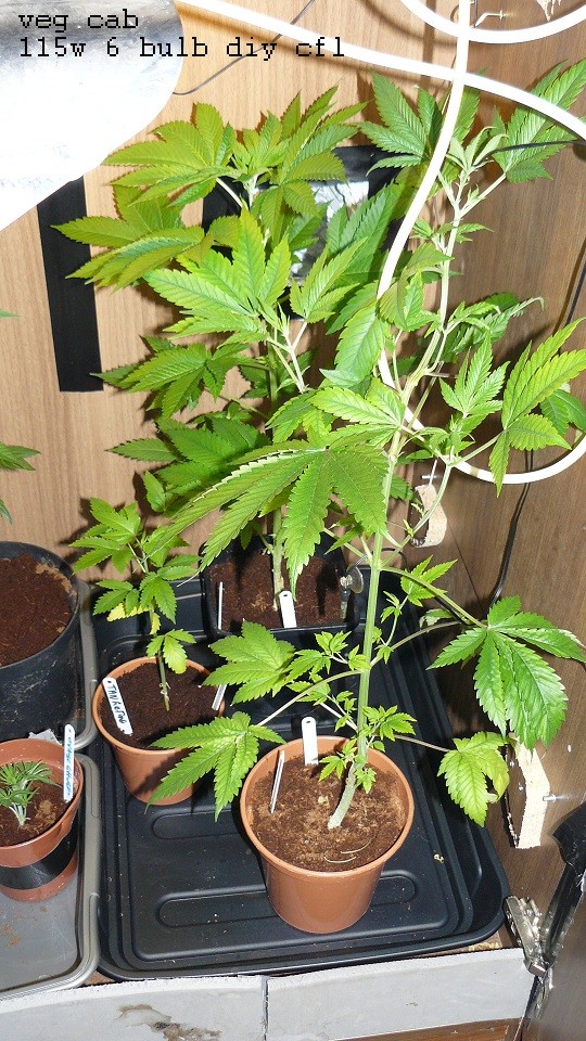drobes 11 01 22 027