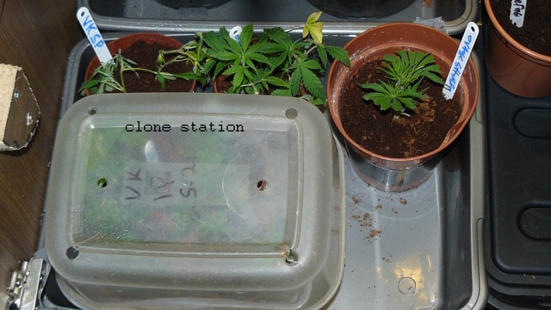 drobes 11 01 22 029