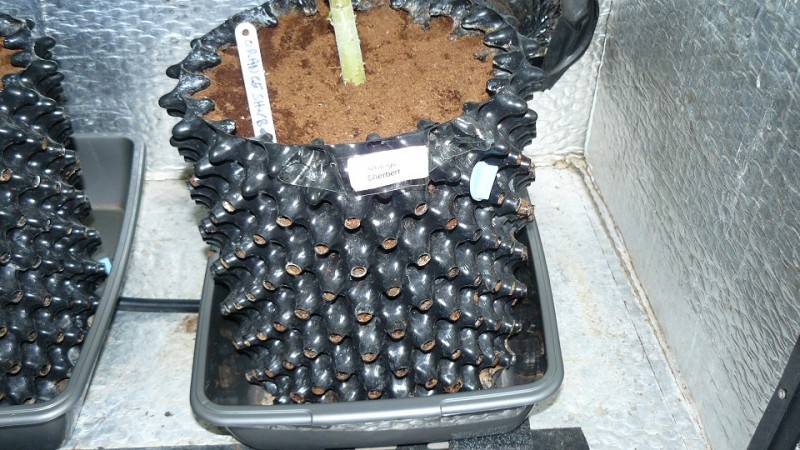 drobes 11 01 22 037