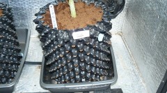 drobes 11 01 22 037