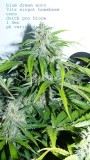 drobes 19 01 22 002