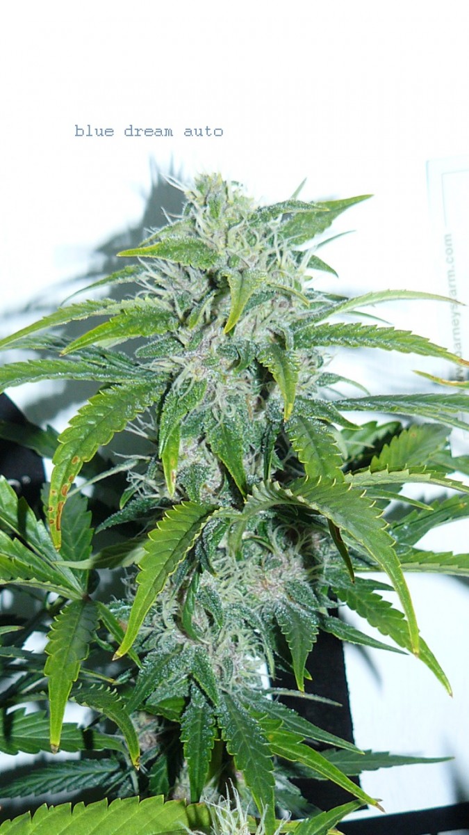 drobes 19 01 22 006