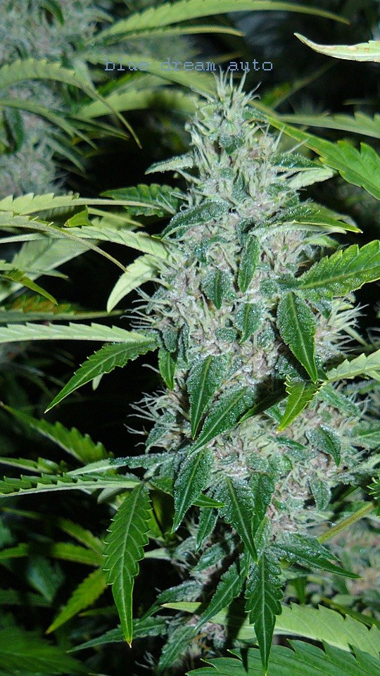 drobes 19 01 22 007