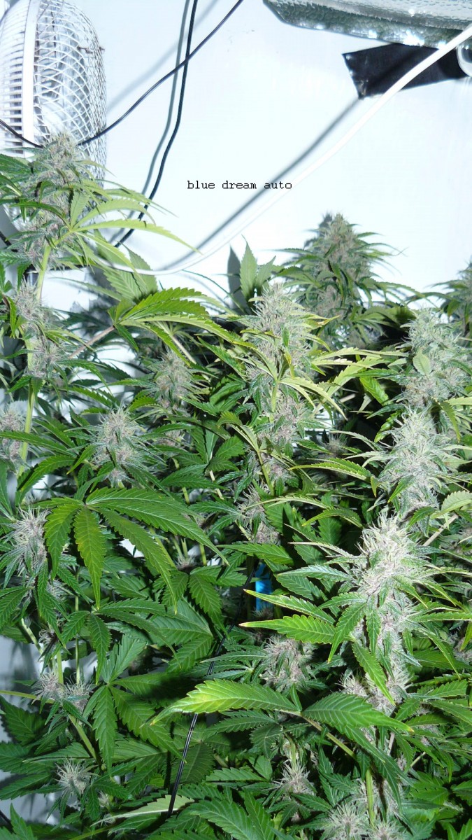 drobes 19 01 22 011