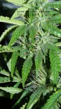 drobes 19 01 22 020