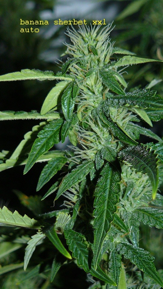 drobes 19 01 22 023