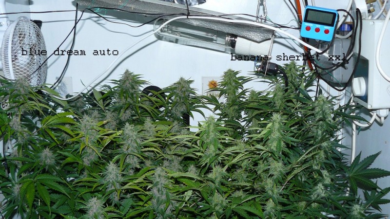 drobes 19 01 22 037