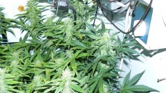 drobes 19 01 22 041