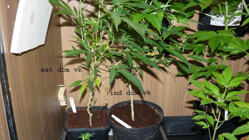 drobes 19 01 22 046